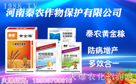 �����r(n��ng)���ף������µ�һ���﹤�����������������