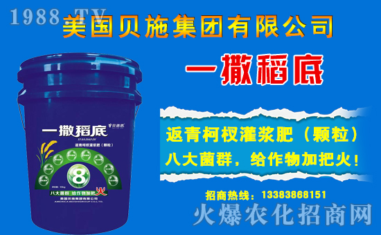 ������ؐʩ����ף���ؽ�(j��ng)�N������ǧ�¼��飬�f��������