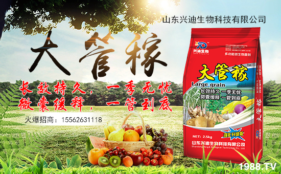 ɽ�|�d������Ƽ����޹�˾