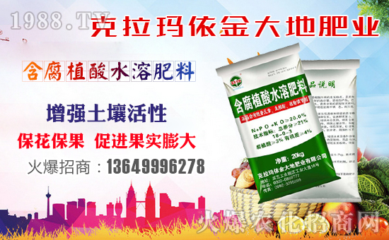 �����طʘI(y��)��ף������µ�һ���������³����f��������