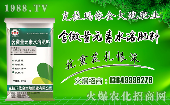 �����طʘI(y��)��ף������µ�һ���������³����f��������