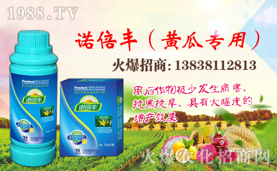 �������H��ףȫ���������w�������f��������