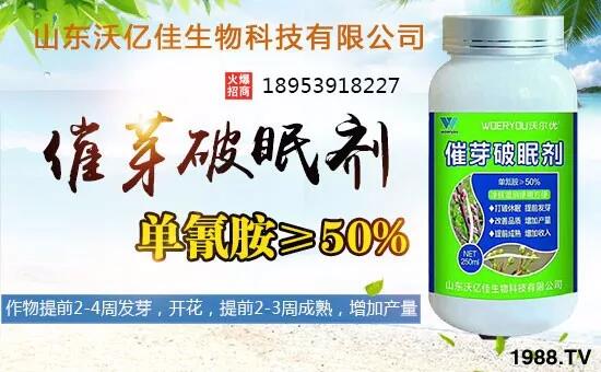 ɽ�|�փ|������Ƽ����޹�˾