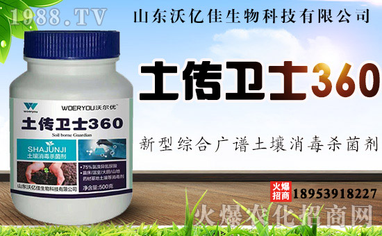 ɽ�|�փ|������Ƽ����޹�˾