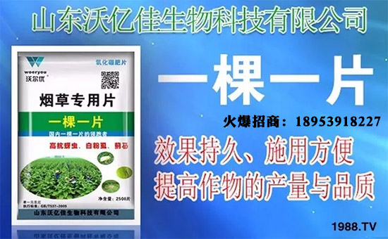 ɽ�|�փ|������Ƽ����޹�˾