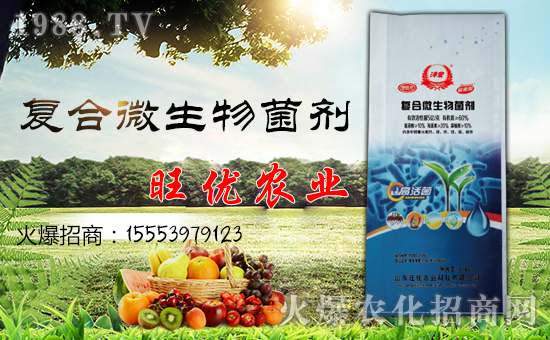 ɽ�|����(y��u)�r(n��ng)�I(y��)�Ƽ����޹�˾