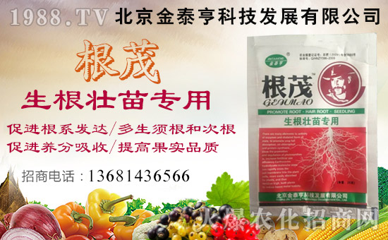 ��������̩�ࡿ��ף��λ��(j��ng)�N�����т�����t����ؔԴ�V�M(j��n)��