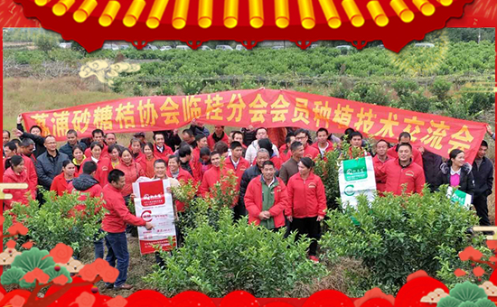 ���P�L�����ףȫ�����ѹ�������f��������