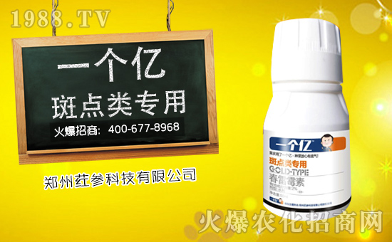 ��ȇ���Ƽ���ף������µ�һ�����Ҹ����M���H�Қg����