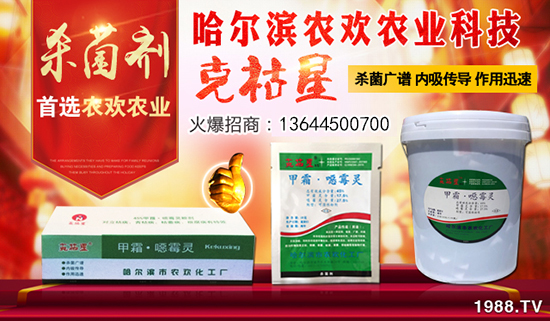 �������I�r(n��ng)�g�r(n��ng)��ףȫ�������_������f�����⣡