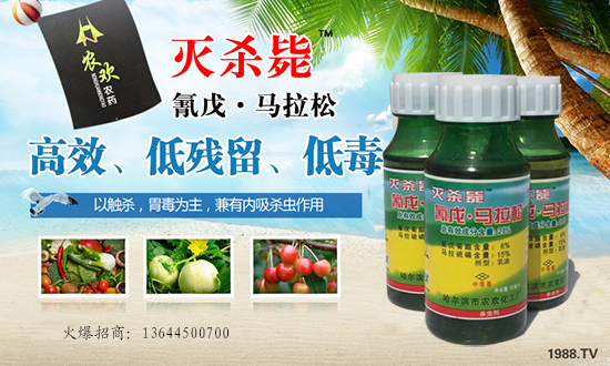 �������I�r(n��ng)�g�r(n��ng)��ףȫ�������_������f�����⣡