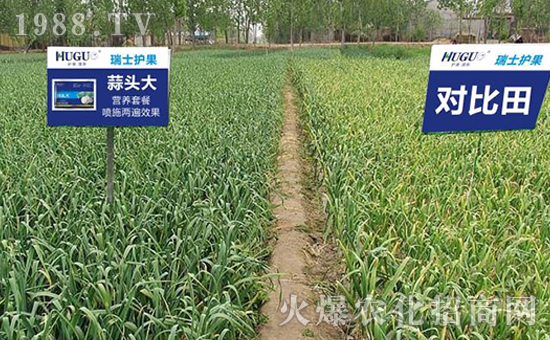 ��ʿ�o(h��)�����H���F(tu��n)���޹�˾