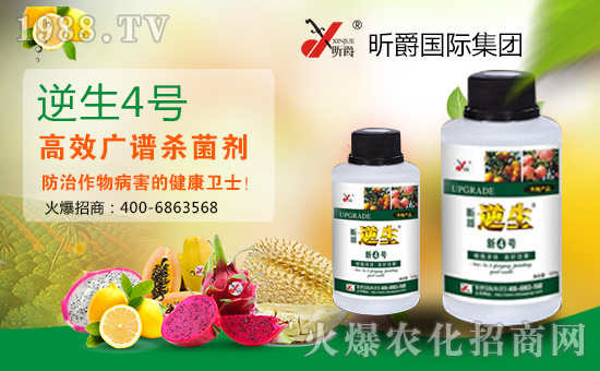     �����Y(ji��)���´����������˚gЦ���_�_���ğo�������������I(y��)����ֵ���´��ѹ�(ji��)���R֮�H��꿾���H���Fף������µ�һ����ؔԴ�L�L����