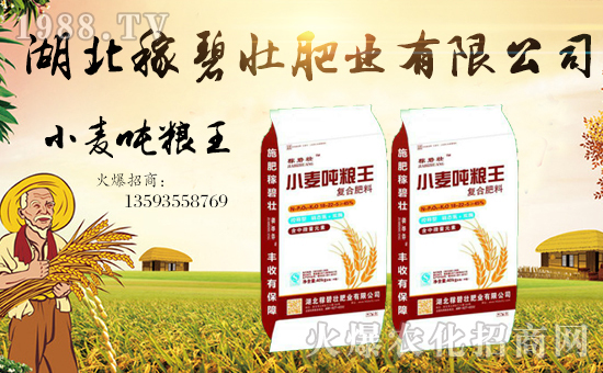 �����ڱ̉ѷʘI(y��)���޹�˾