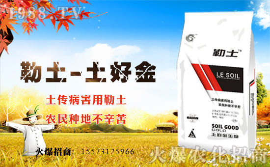 �����ý����ף������µ�һ�����´��옷(l��)���������