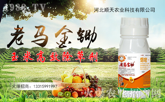 ������r(n��ng)�I(y��)��ףȫ���������µ�һ�����Ҹ����M���H�Қg����