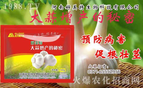 �����������ף������w�����������d�����H���Ҹ���