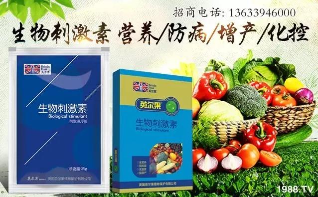 Ӣ��(gu��)Ӣ����ֲ�ﱣ�o(h��)���޹�˾