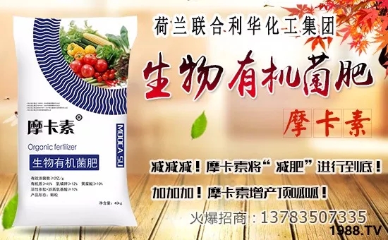 ��(li��n)�����A��ף������µ�һ�������w�������f(w��n)��������