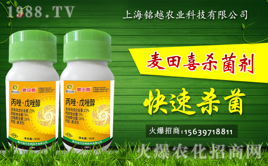 �Ϻ��Խ�r(n��ng)�I(y��)�Ƽ����޹�˾