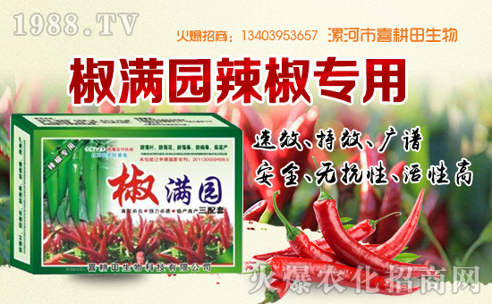 ��ϲ�������ף���������\(y��n)�������ո�������