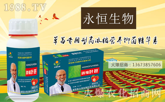 ���������ף������µ�һ���﹤�����������������