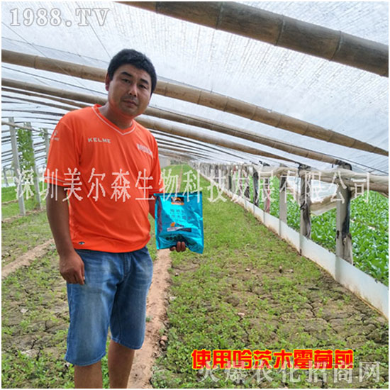 ������ɭ����������µ�һ�������w�����������³����f�����⣡