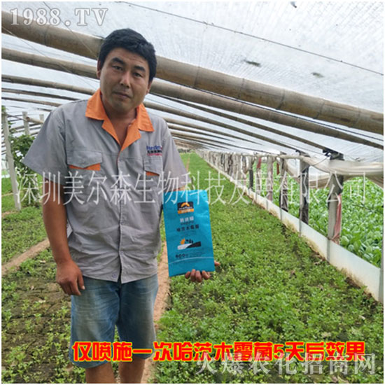 ������ɭ����������µ�һ�������w�����������³����f��������