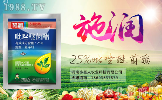 ��С�����r(n��ng)�I(y��)��ף������µ�һ���﹤�����������������