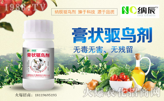 ���{�����ףȫ���������µ�һ�����_��󼪣��f��������