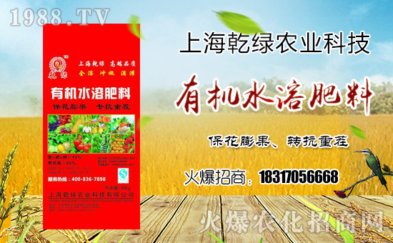 ��Ǭ�G�r(n��ng)�I(y��)��ף����Ҹ����M���H�Қg����