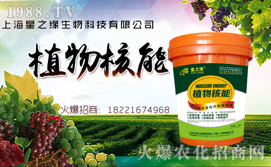 ���Ϻ���֮����ף������µ�һ�������w�������f�����⣡