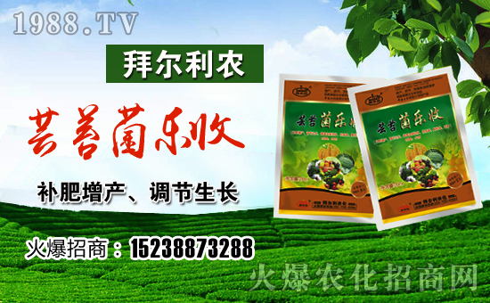 ���ݠ����r(n��ng)��ף������������t�t�����