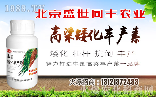 ��ʢ��ͬ�S��ףȫ��(gu��)���ѹ�������f�����⣡