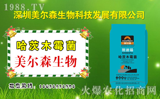 ������ɭ���ף������µ�һ�������w�����������³����f�����⣡