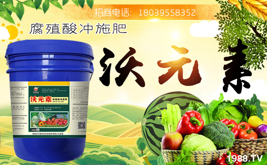 ���֠��D�r(n��ng)�I(y��)��ף������µ�һ�����´������f�����⣡