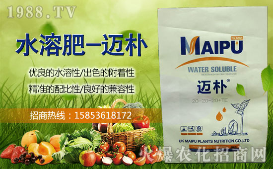 ��Ӣ���~��ֲ�ףȫ���������w�������f�����⣡