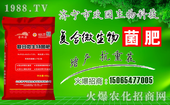 �����@���ףһ·�߁������т����w���������������