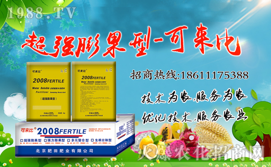 ����������ʘI(y��)��ȫ�w�T����ף���Ͽ͑�����옷�������³���