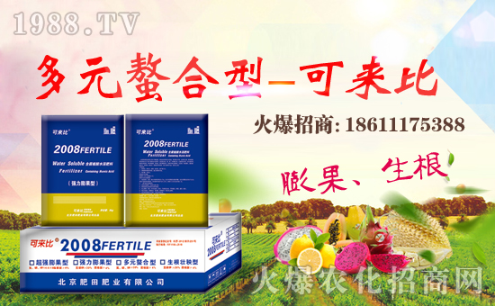 ����������ʘI(y��)��ȫ�w�T����ף���Ͽ͑�����옷�������³���