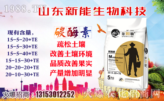 ���������ף�������옷���f��������