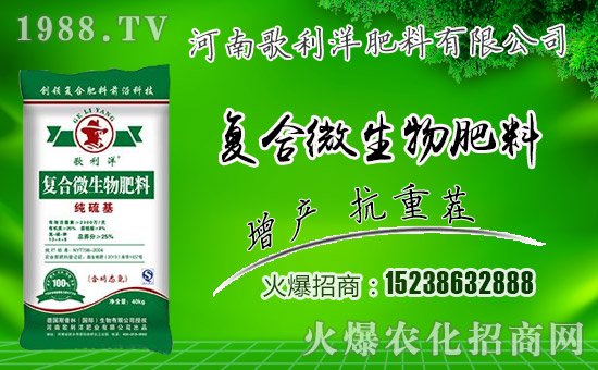 �����ϸ�����ף������µ�һ���﹤�����������������