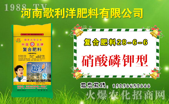 �����ϸ�����ף������µ�һ���﹤�����������������