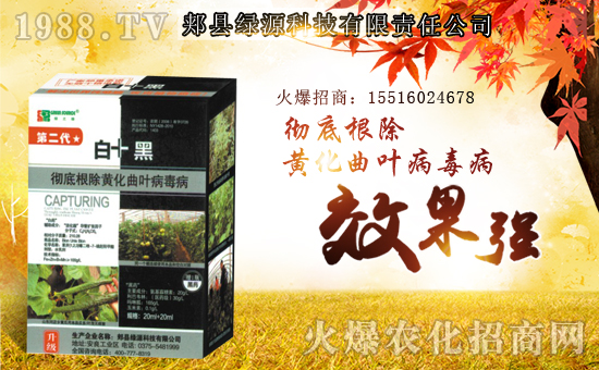 ���GԴ�Ƽ���ף������µ�һ�������w�����������³����f(w��n)��������