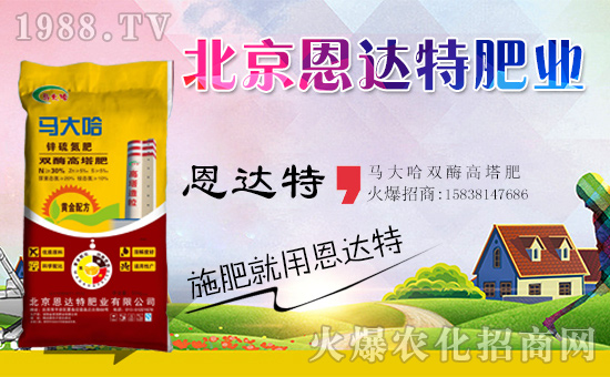 �����_�طʘI(y��)��ף���g�gϲϲӭ���꣬�f������ƽ������