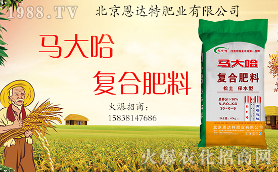 �����_�طʘI(y��)��ף���g�gϲϲӭ���꣬�f������ƽ������