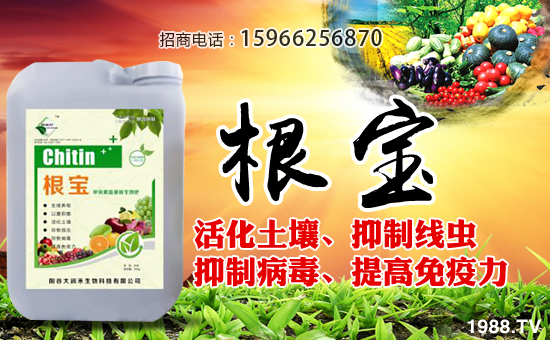 ����(r��n)�����ףȫ��(gu��)��(j��ng)�N������A�M����������������ģ�