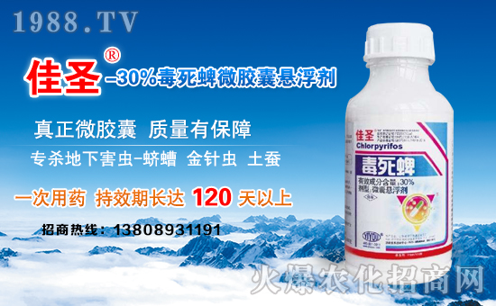 ����(j��)�σ|���r(n��ng)�I(y��)��ףȫ���������µ�һ�����Ҹ����M���H�Қg����