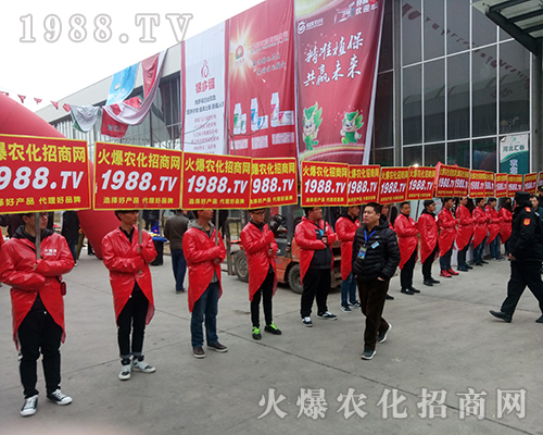 要想火就找我，1988.TV重磅出擊2018河北植保會！