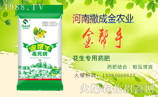 �����ɽ��r(n��ng)�I(y��)��ף������µ�һ���������³�������������